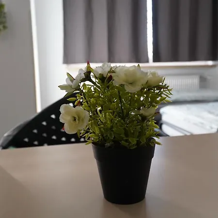 Mk 4 - Free Wifi - Free Parking - Naehe Hbf Apartment Delmenhorst
